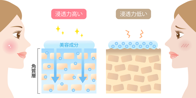 浸透力肌画像