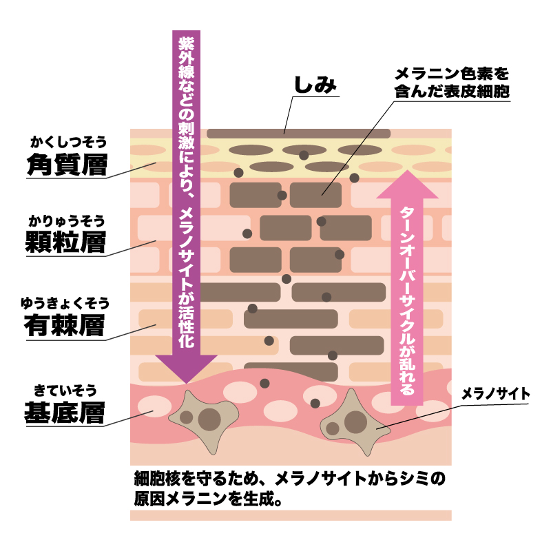 シミ肌画像
